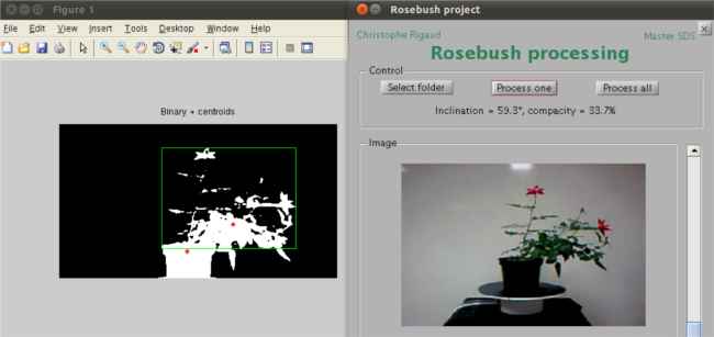 Screenshot of software for rosebush or plant inclination and compacity computing
